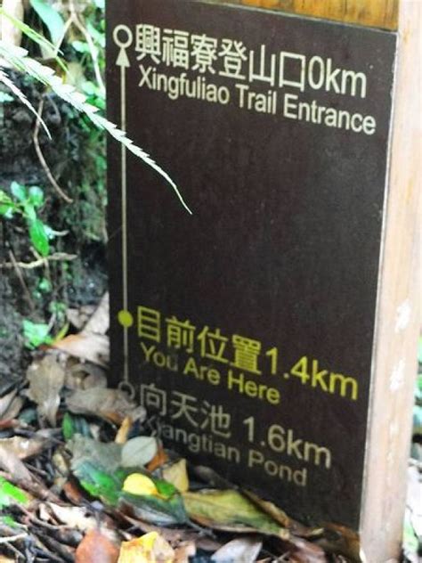 興福寮登山口|興福寮步道